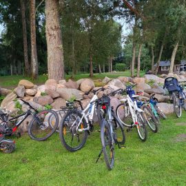 243438aa-59f8-413a-bc1b-e7f6a23f66e5